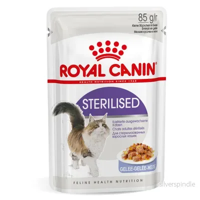 RC Wet Sterilised Jelly 85 g