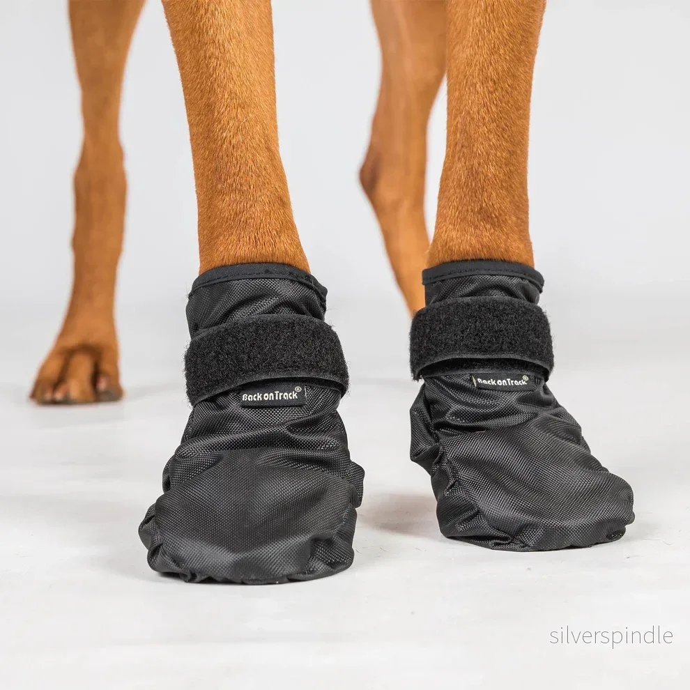 Back On Track "Koda" Hundsocka Svart - Bild 2