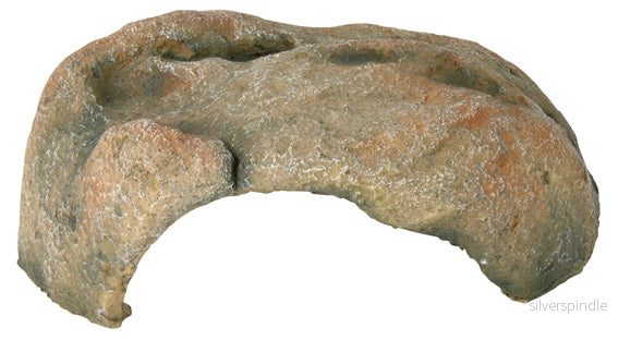Reptilgrotta, 32 × 12 × 29 cm