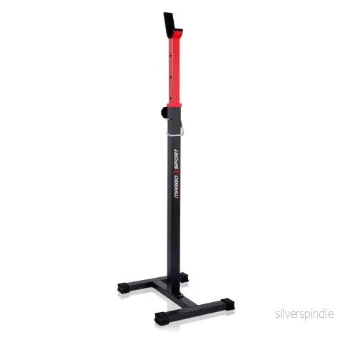 Semi Pro Squat Rack - Bild 3
