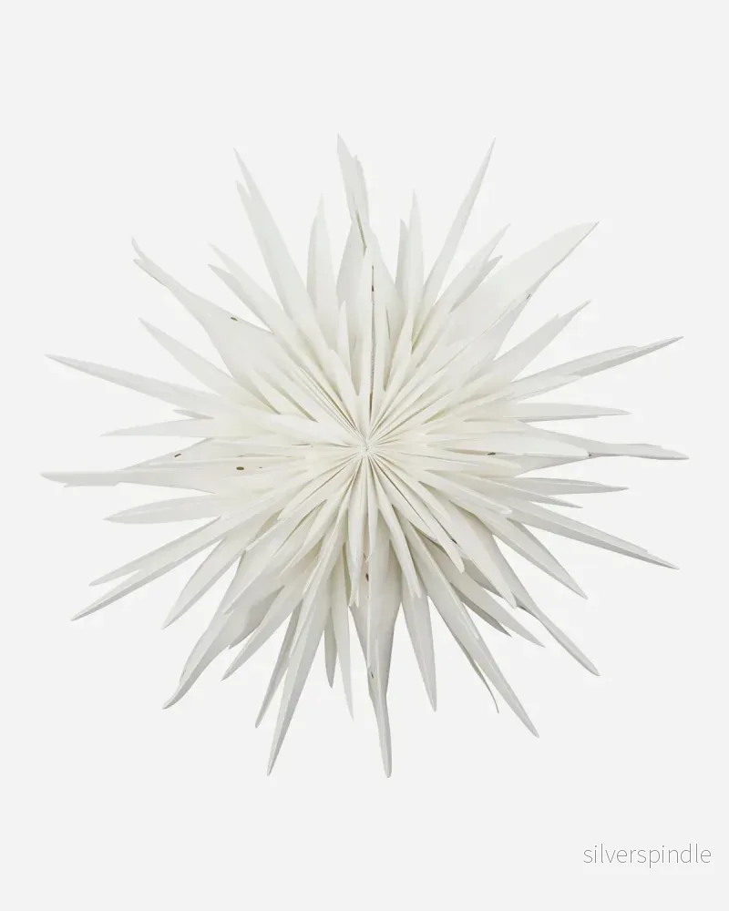 Julstjärna dust offwhite 70cm