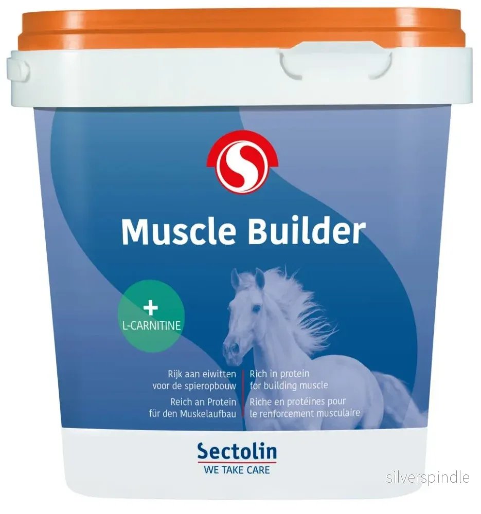 Muskelbyggare Muskelbyggare