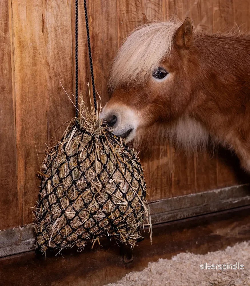 Waldhausen Shetland hönät SlowFeed - Bild 3