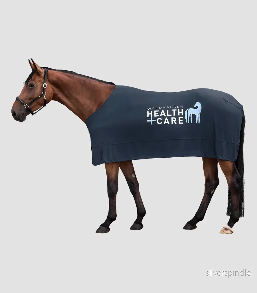 Health + Care Ice-Layer Filt
