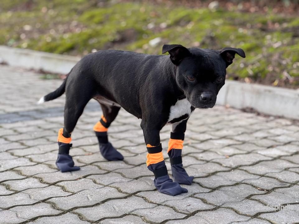 Companion Tassockor – extra långa - Bild 3