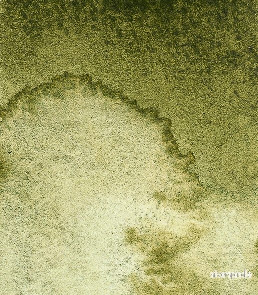 14 941 Forest olive 14 941 Forest olive