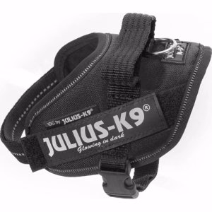 IDC SELE MINI-MINI SVART 40-53 CM