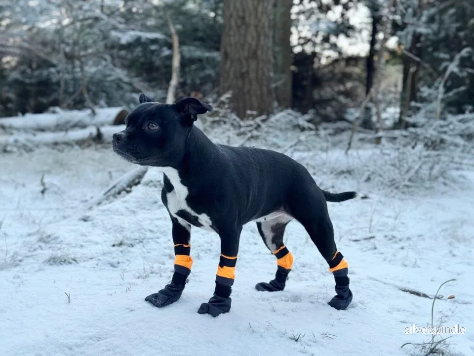 Companion Tassockor – extra långa - Bild 2