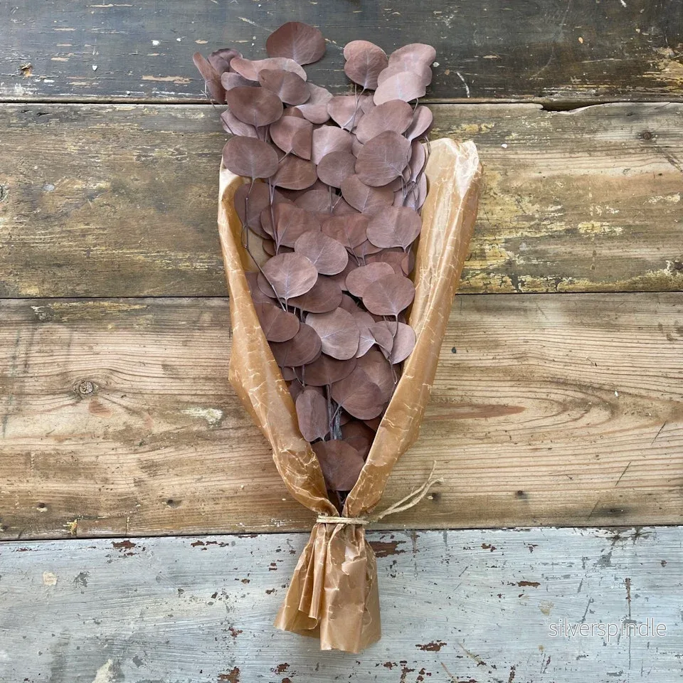 Eucalyptus apple leaves Kopparbrun 100gr - Konserverade