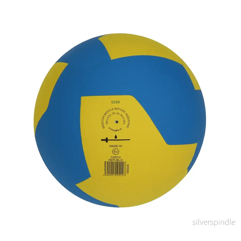 Gala BV555S Training 210 G Volleyboll – Lätt Träningsboll för Barn 8–12 år - Bild 2