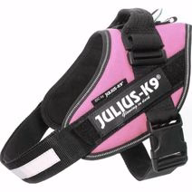 IDC SELE, 66-85 CM NR 1 ROSA IDC SELE, 66-85 CM NR 1 ROSA