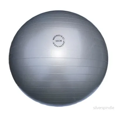 Träningsboll – 55 cm – Nordic Strength (Grå) Träningsboll – 55 cm – Nordic Strength (Grå)