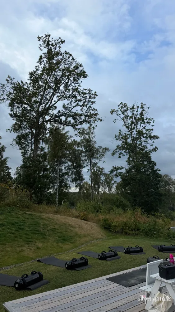 PT-timme hos dig – Hills Villastad PT-timme hos dig – Hills Villastad