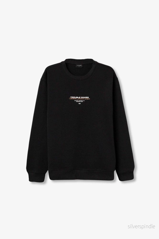 NEWTON SWEATSHIRT STREETWEAR STYLE - Bild 3