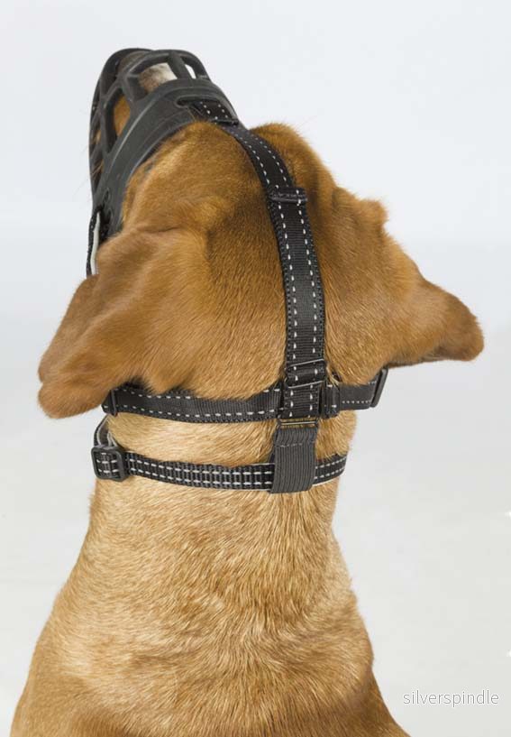 Munkorg Muzzle Flex, silicon, XL/XXL, svart - Bild 2