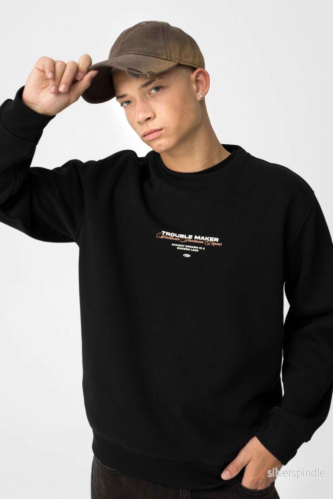 NEWTON SWEATSHIRT STREETWEAR STYLE - Bild 2
