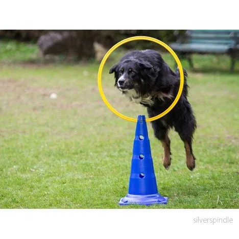Hoppring agility Hoppring agility