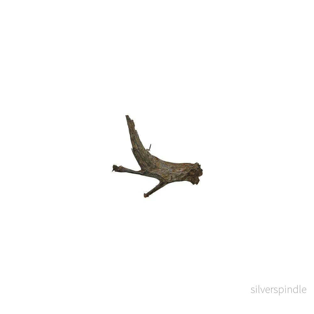 MANGROVEROT XL