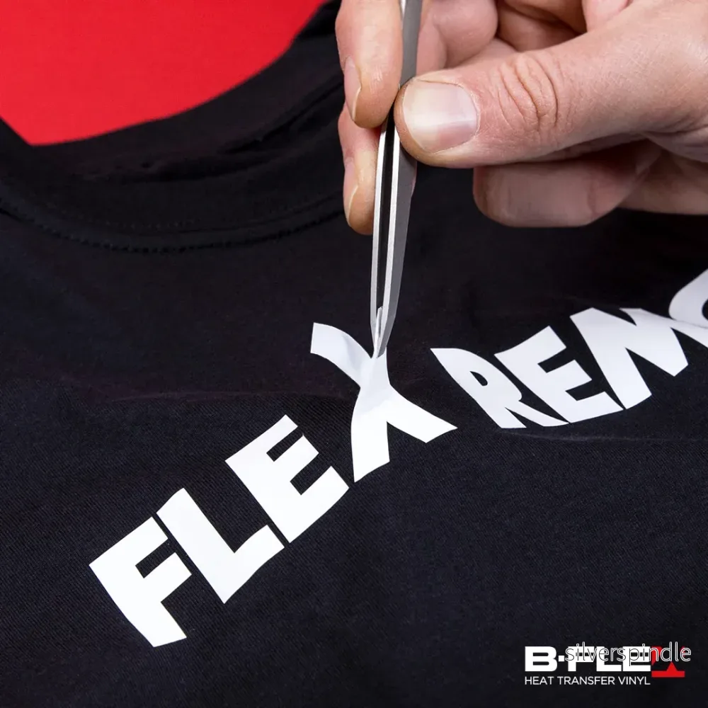 B-Flex, FLEX REMOVER 0,25 & 0,5L - Bild 3