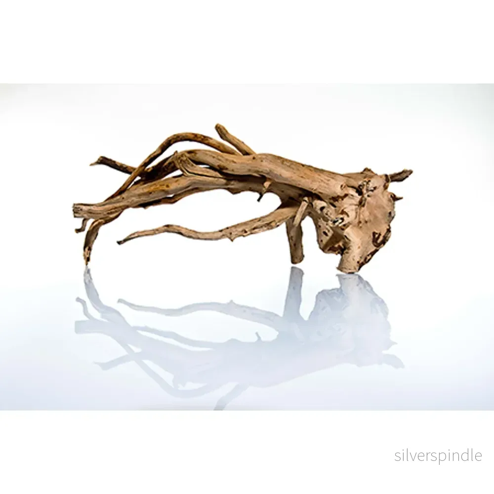 Talawa Wood 50 – 70cm