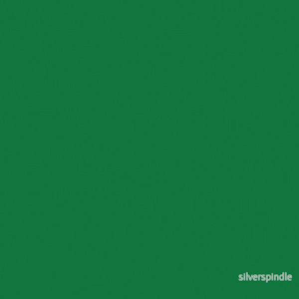 25 561 Fir green