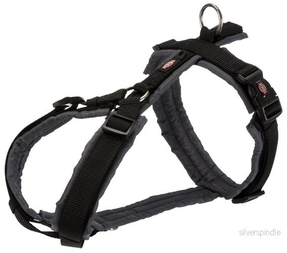 Premium spårsele, S: 36-44 cm/15 mm, svart/grafit Premium spårsele, S: 36-44 cm/15 mm, svart/grafit