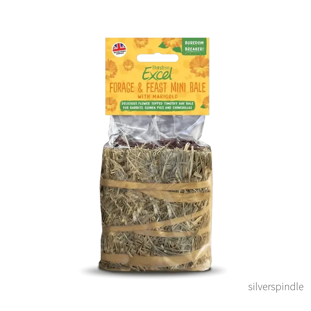Burgess Excel Forage & Feast Mini Bale Marigold 100g Burgess Excel Forage & Feast Mini Bale Marigold 100g
