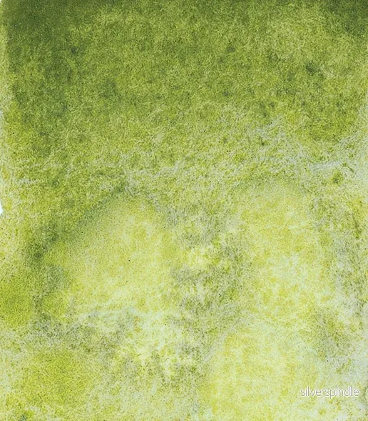 14 932 Shire olive