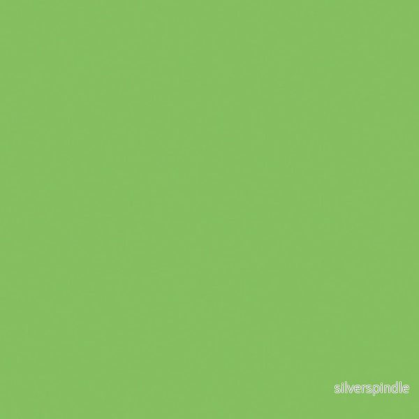 25 566 Permanent green light