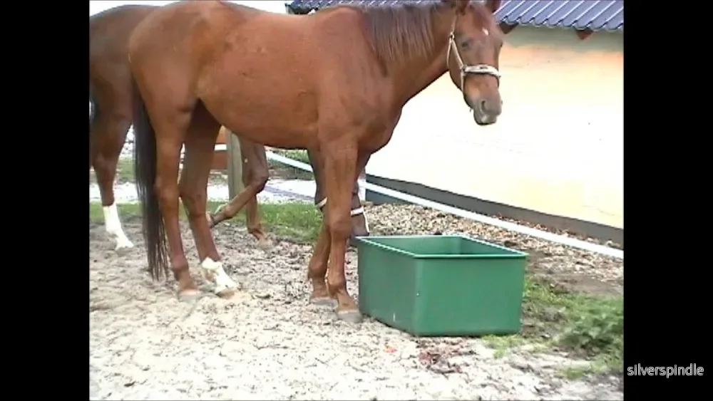 OK Plast Beteshink 200 l - Bild 2