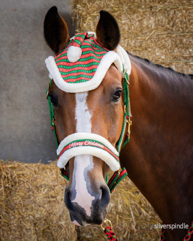 Halsbandsset och mössa Christmas - Bild 2