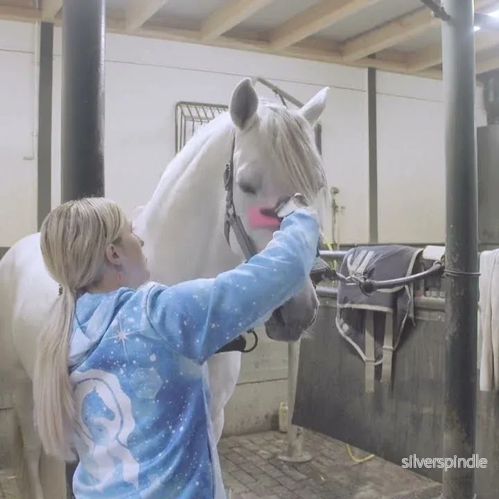 Paardenpraat Groomingborste Rosa M - Bild 2