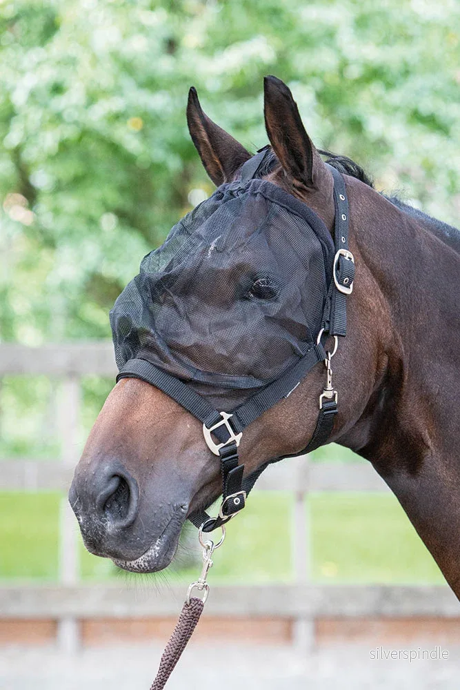 Flugmask för grimma Flugmask för grimma