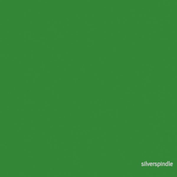 25 563 Sap green
