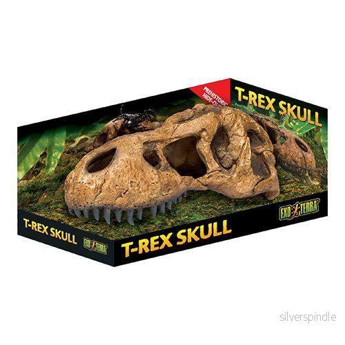 GROTTA T REX KRANIUM EXOTERRA