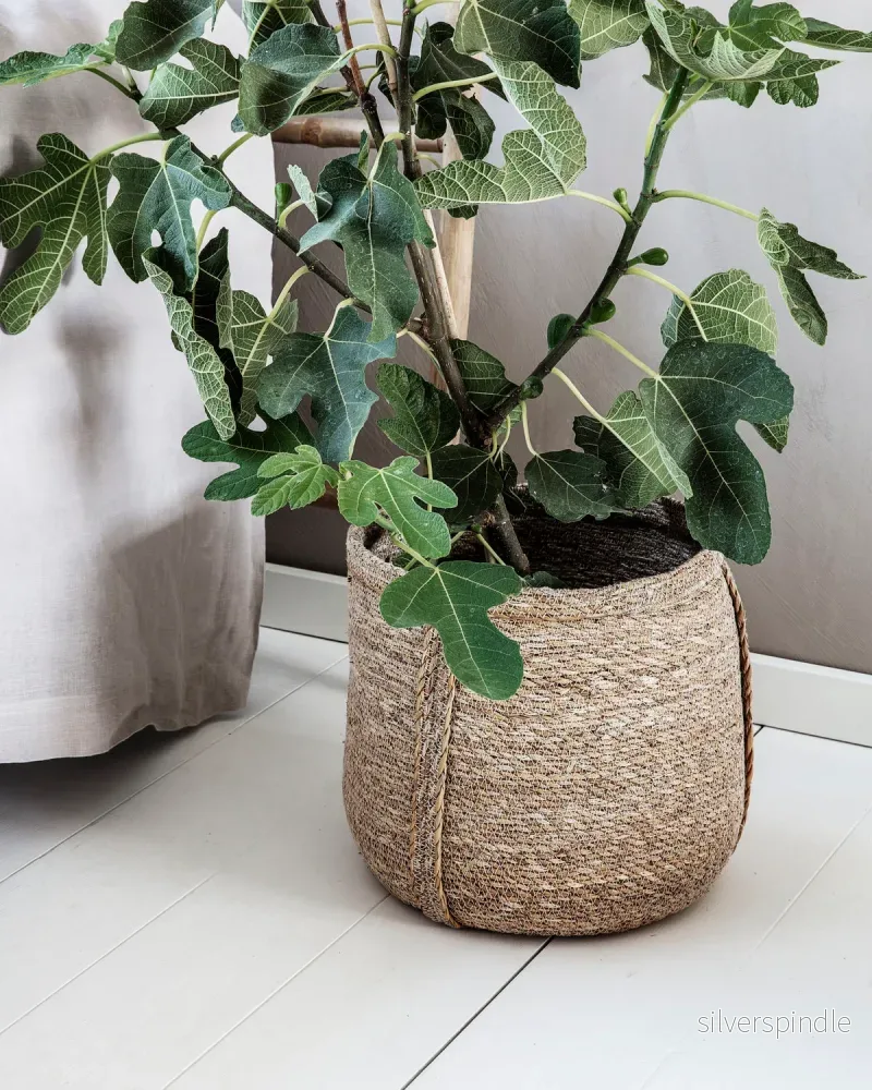 Plant korg set om 2, 25cm/27cm - Bild 3