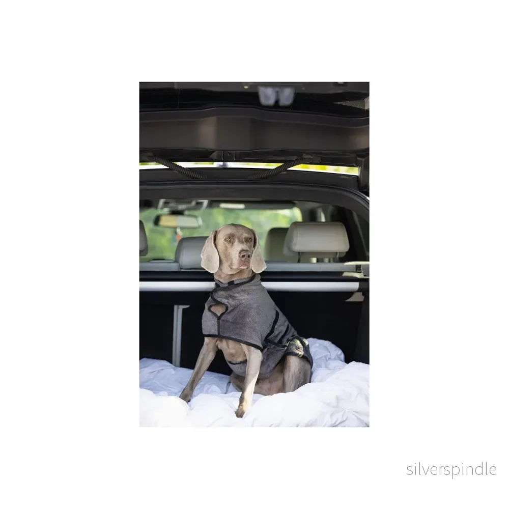 BR hundbadrock