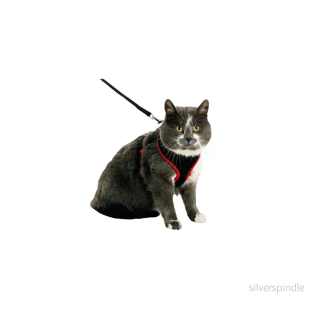 Kattsele Nät Med Koppel L Svart/röd - Bild 2