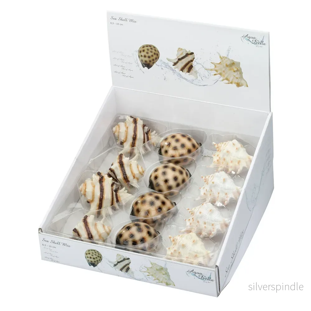 Snäckskal Sea shell mix 8,5-10CM Snäckskal Sea shell mix 8,5-10CM