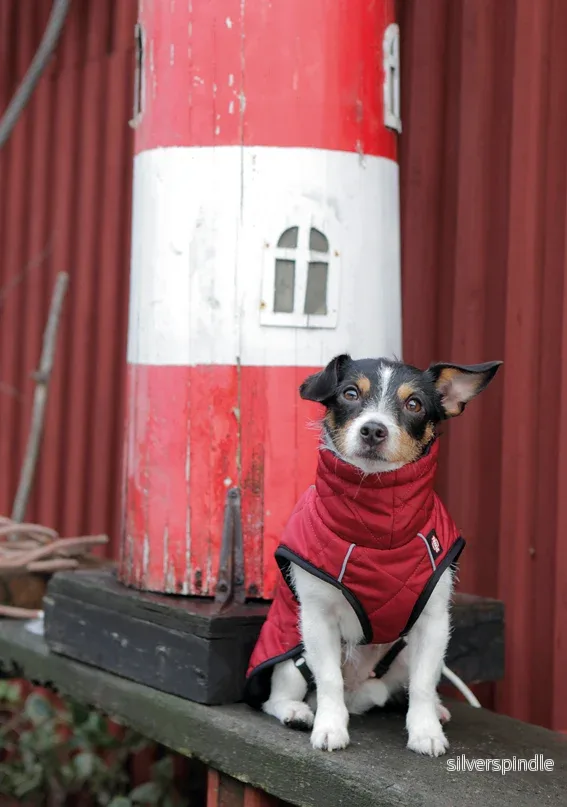 Minot hundtäcke röd - Bild 2
