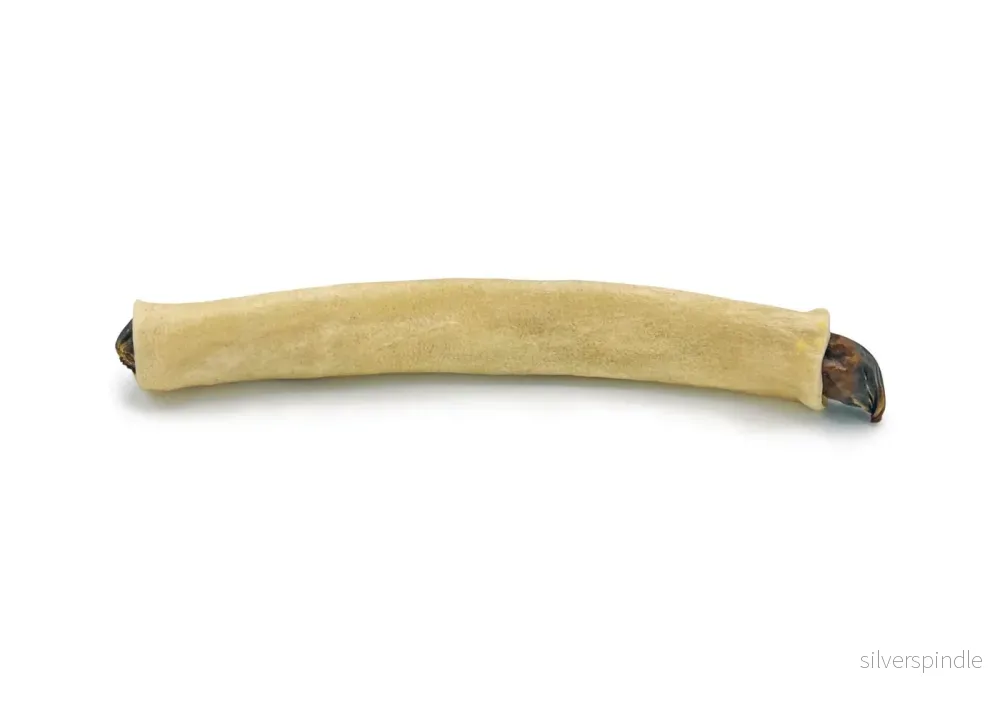 RAUH MOOSE BULLET