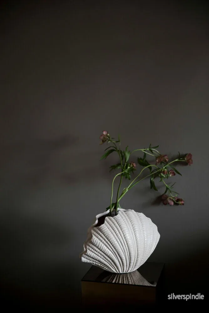 Vas shell - Bild 2