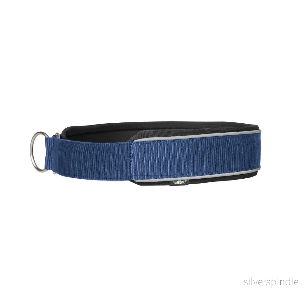 Back On Track ”Charlie” Hundhalsband Blå Back On Track ”Charlie” Hundhalsband Blå