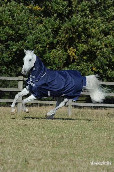 Bucas Freedom Turnout Light med full hals Bucas Freedom Turnout Light med full hals