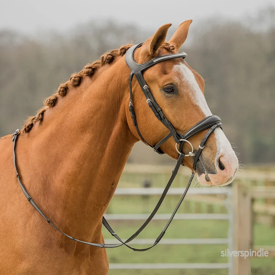 HUVUDSELE CROWN