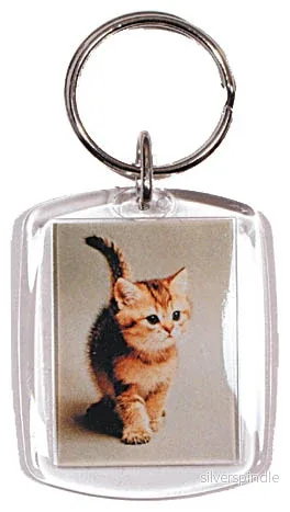 Nyckelring med kattmotiv Nyckelring med kattmotiv