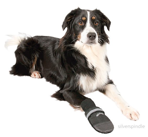 Hundskor Walker comfort 2-pack Hundskor Walker comfort 2-pack
