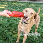 Kong Jumbler Tug Mix M/L - Bild 2