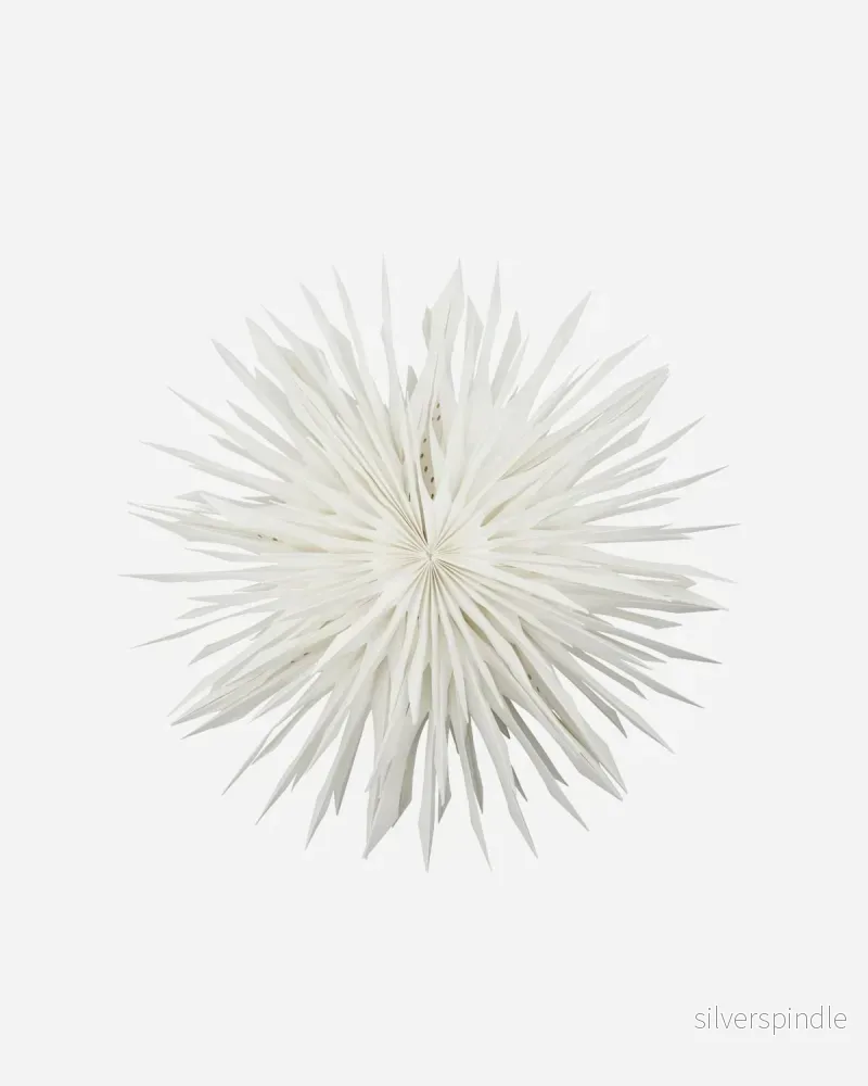 Julstjärna reef offwhite 50cm
