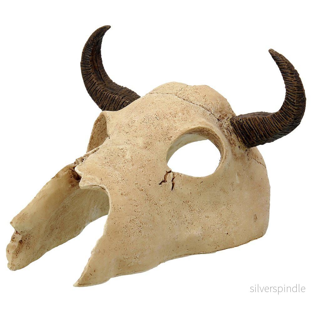 Small Buffalo Skull Small Buffalo Skull